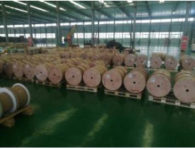 雙玻璃絲包線有哪些特征？